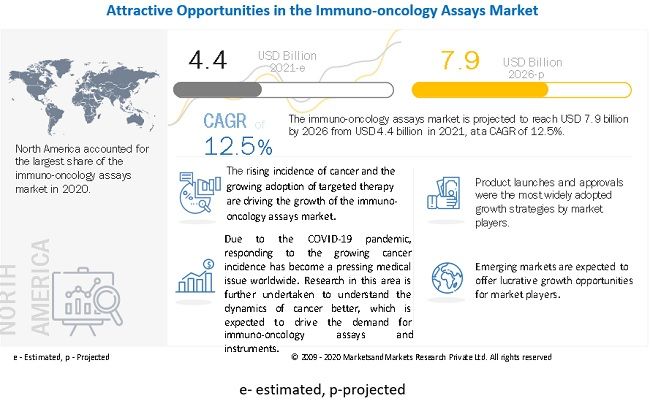 Growing Adoption of Targeted Therapy in Immuno Oncology Assays Market