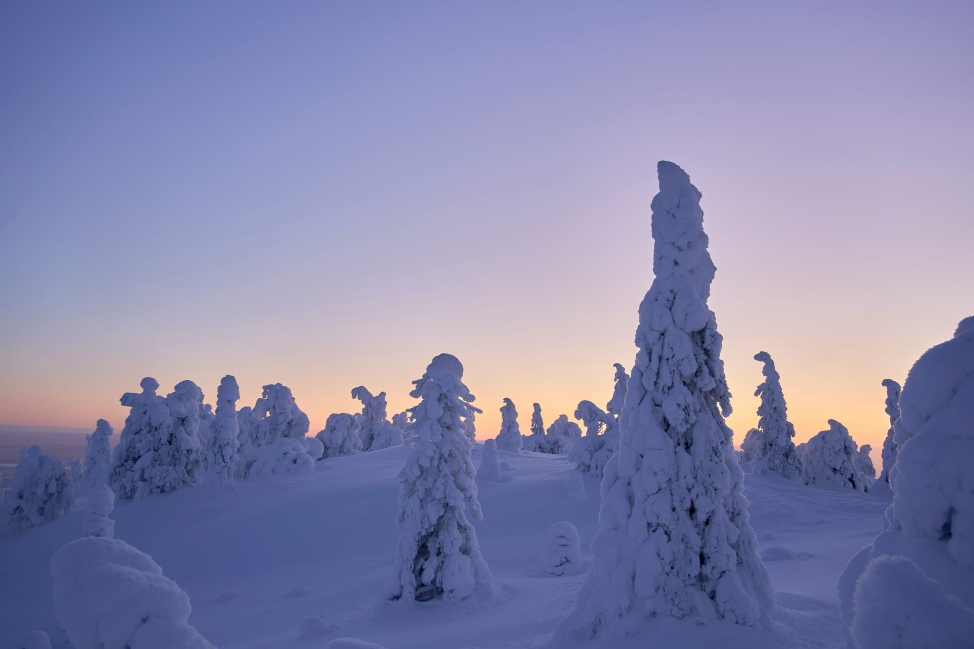 Upgrading to AOT Workflows in Microsoft Agent Framework (RC2)