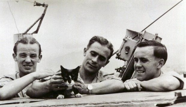 Sam, el insumergible: un gato marinero en la II Guerra Mundial