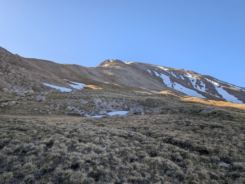 High Alpine Meadows La Plata Peak