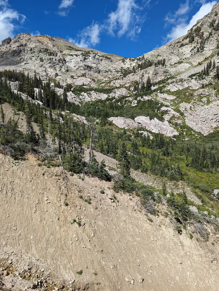 Gully in Kaufman Creek