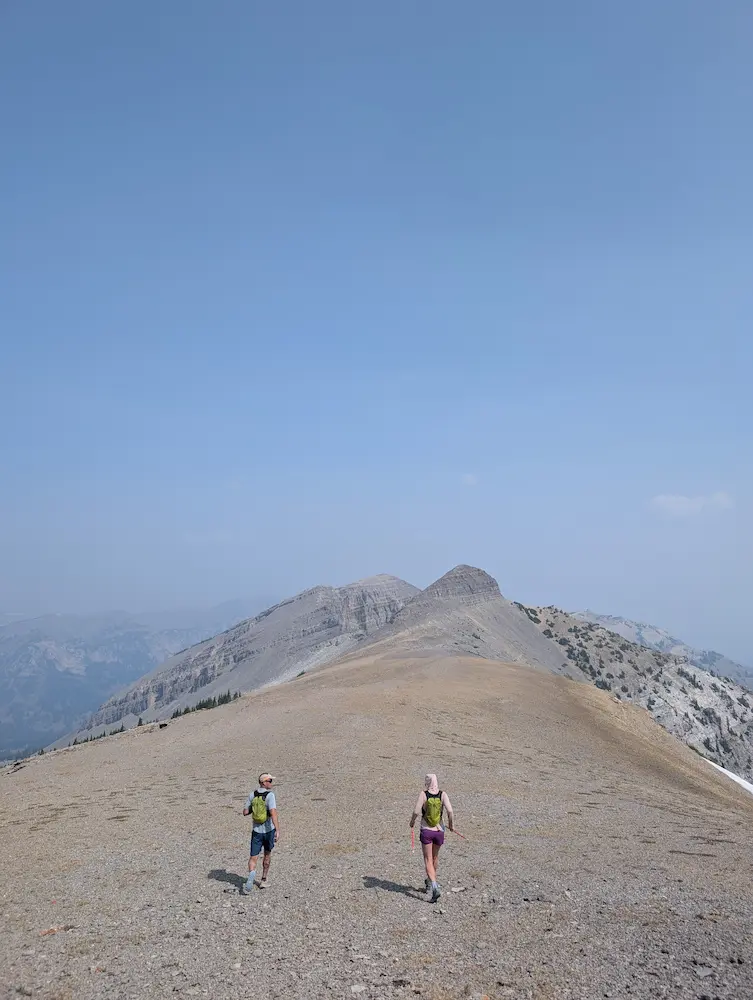 Rendezvous Saddle
