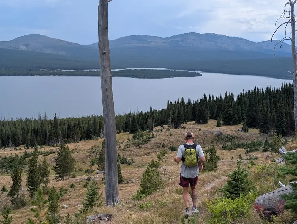 Chance on the Mt. Sheridan Trail Yellowstone