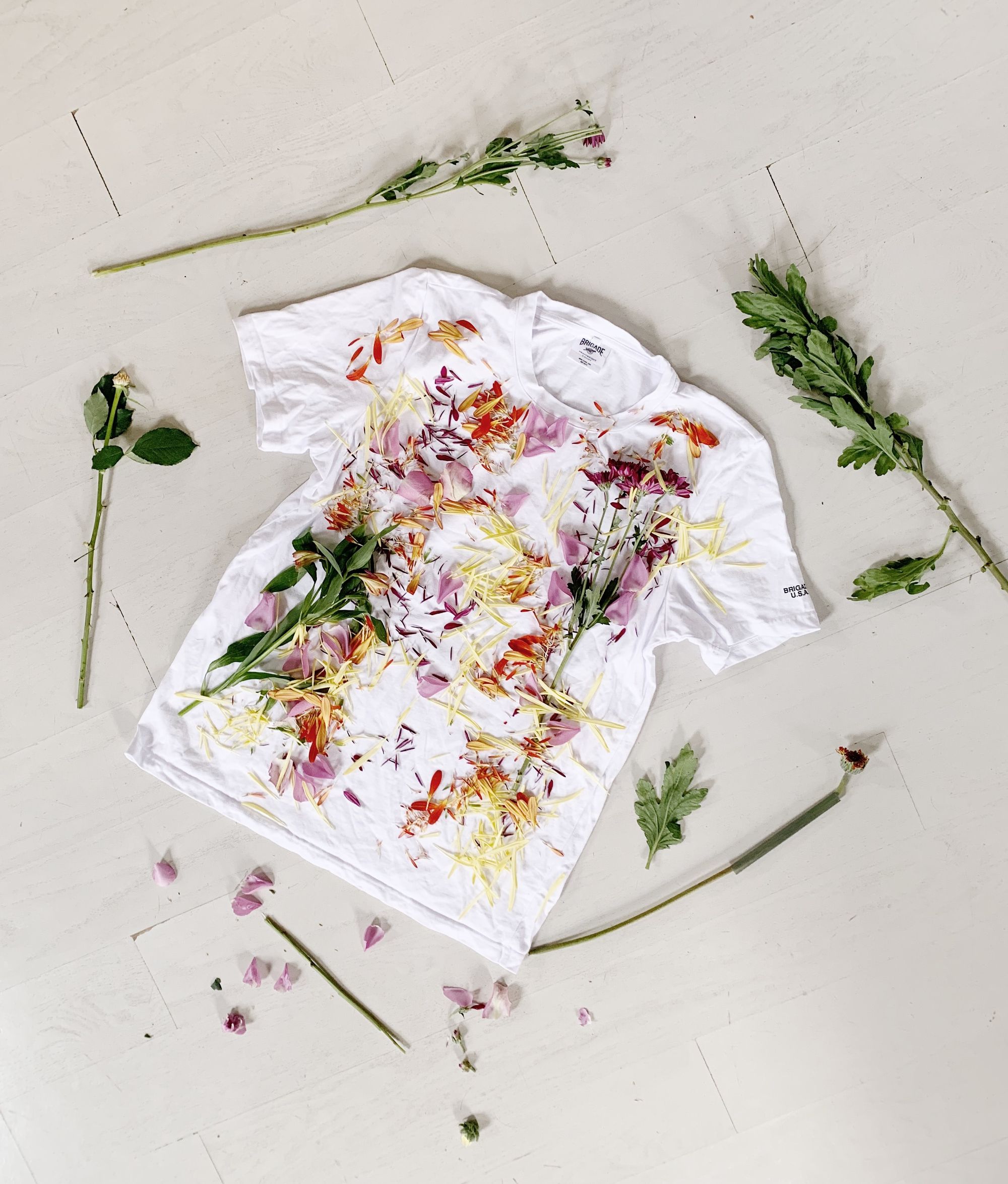 Six Steps to a Sustainable Fashion Brand: The Expert Guide on How to Start a Sustainable Clothing Line