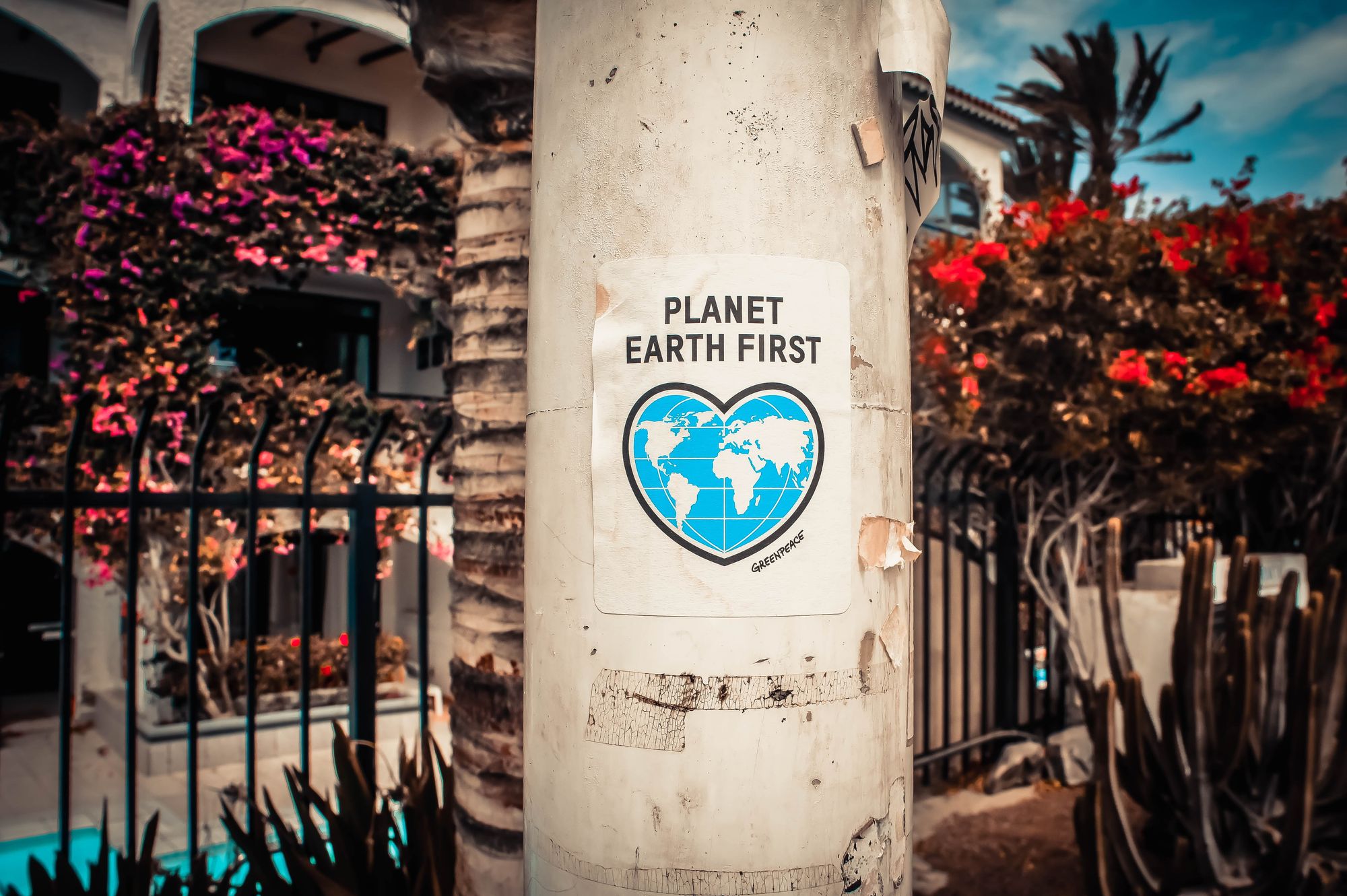 Why Inclusive Sustainability is the Pathway to Lasting Change