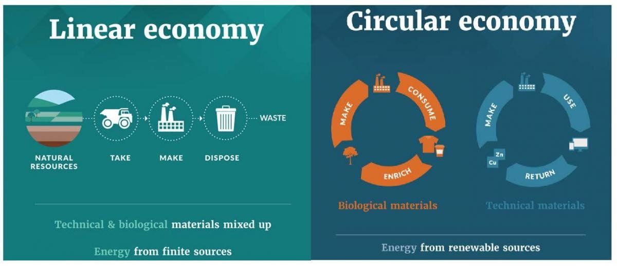 The Principles of the Circular Economy and How It Affects Your Business