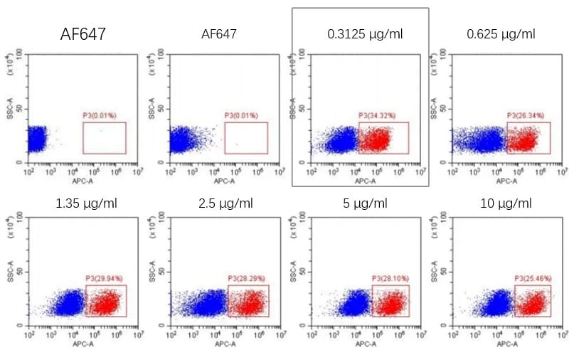 Anti-Chimeric Antigen Receptor Linker Antibodies for Streamlined CAR Detection