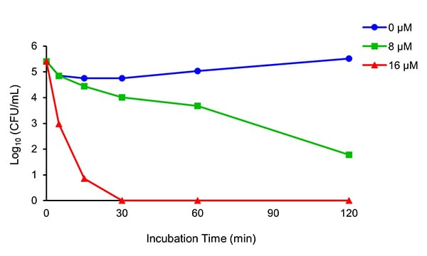 Antiviral Drug Discovery Services to Accelerate Therapeutic Development
