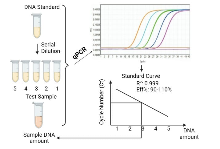Efficient RNA Detection Assay Kits (qPCR) for Biological Researchers