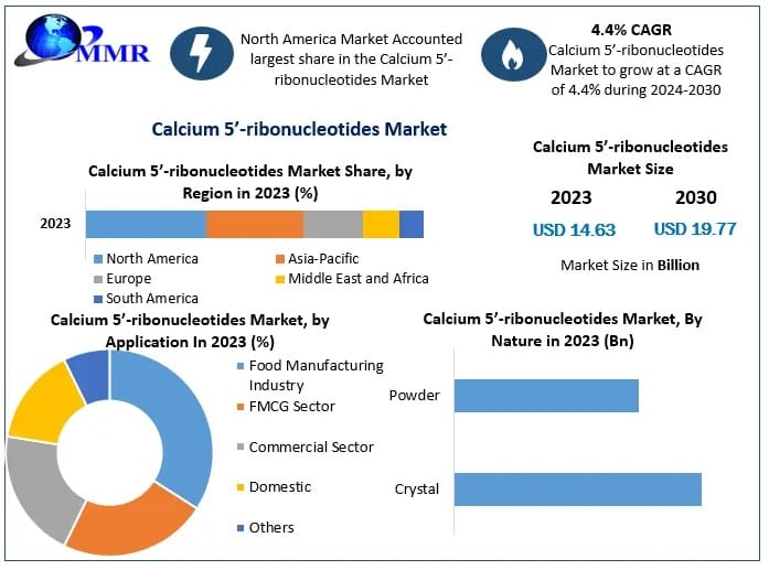 Global Calcium 5’-Ribonucleotides Market Analysis by Application, Form and Regional Insights