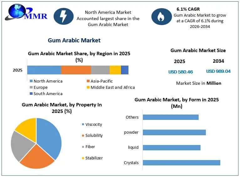 The Rising Role of Gum Arabic in Clean-Label Food and Functional Nutrition