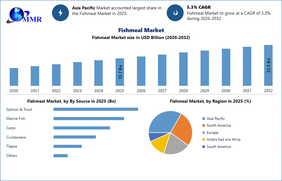 Fishmeal Market: Global Demand, Sustainability and Growth Outlook