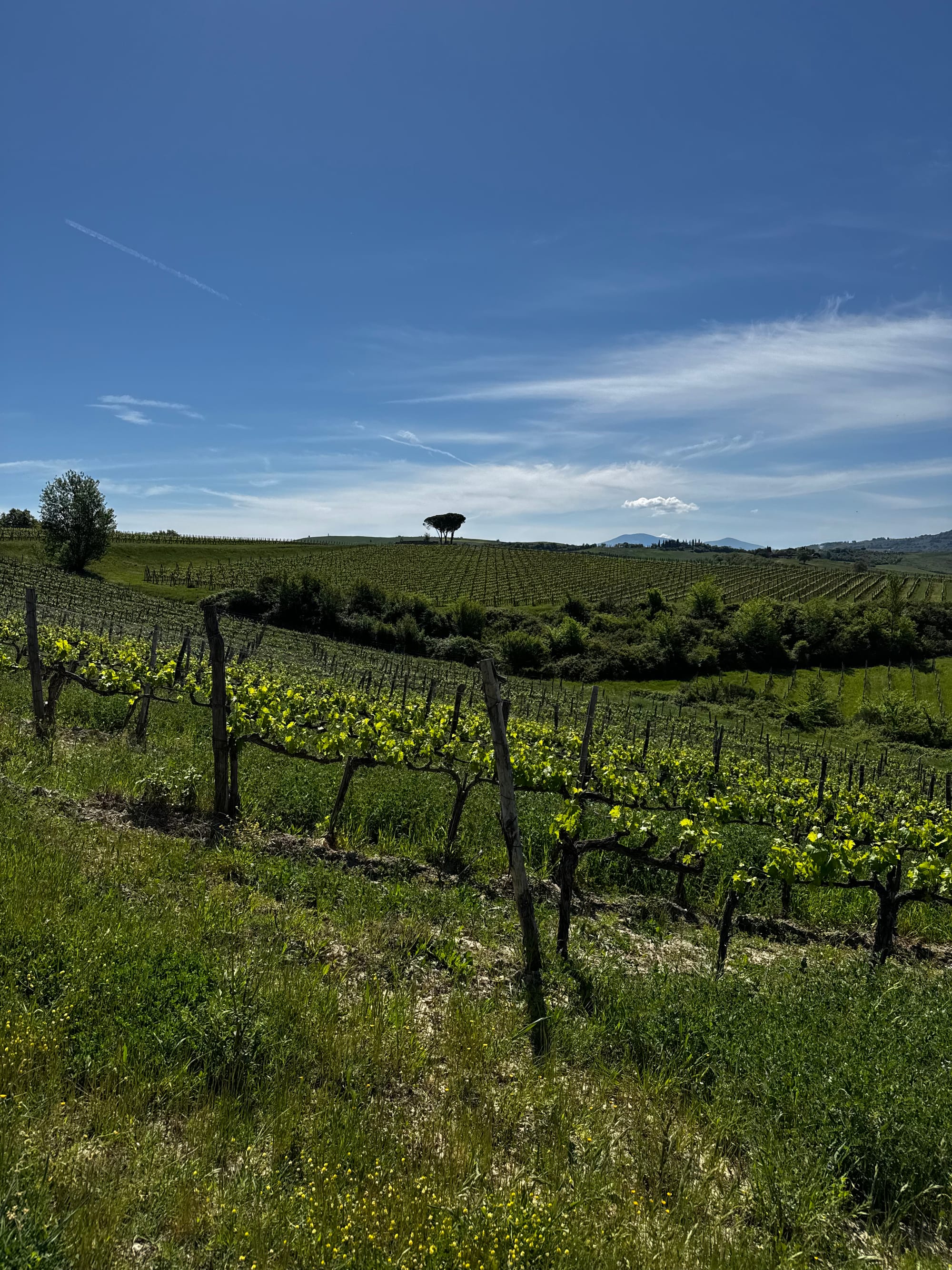 Druhý den mezi vinicemi a prachem