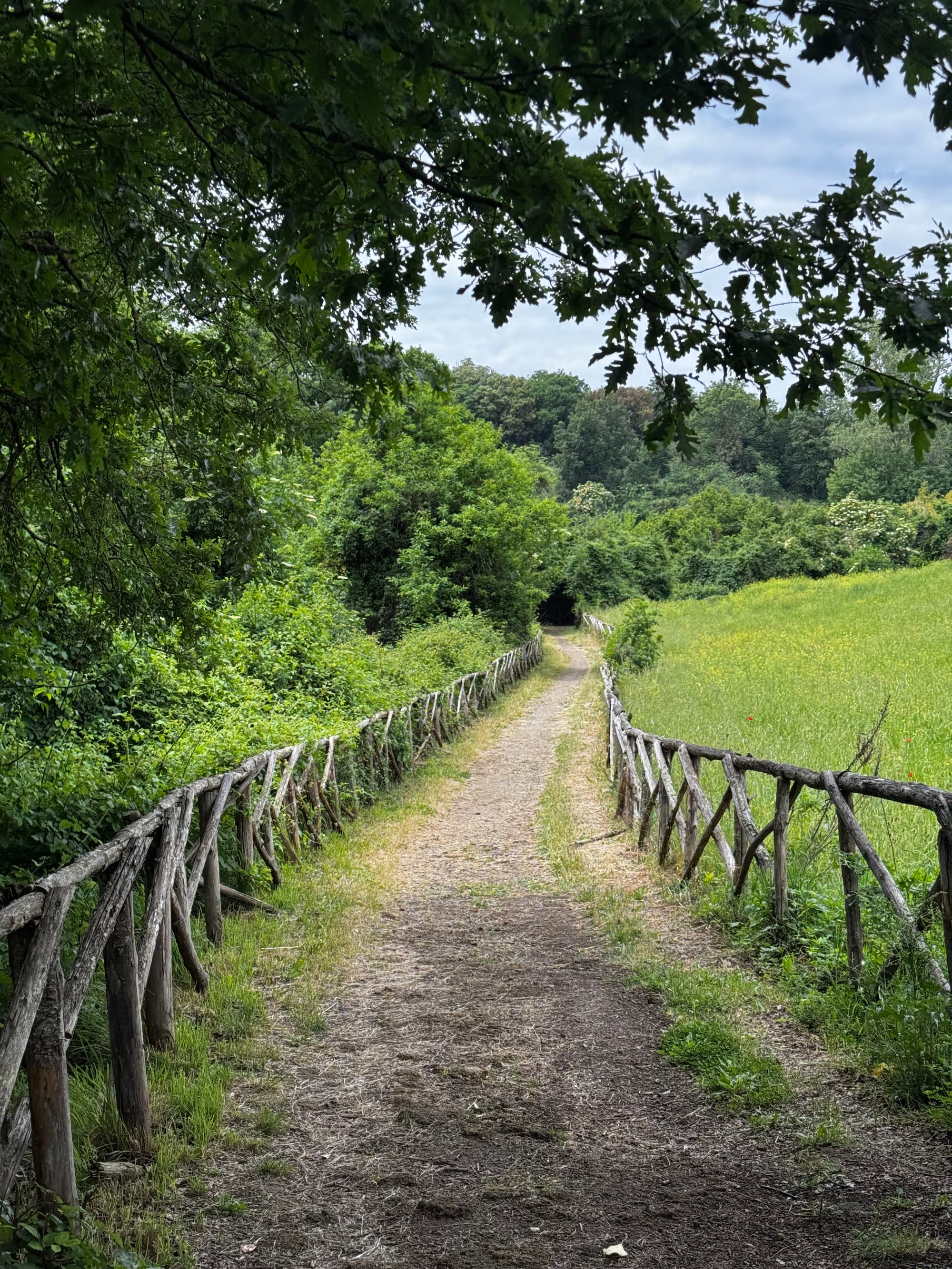 11 dní na cestě s pár překážkami