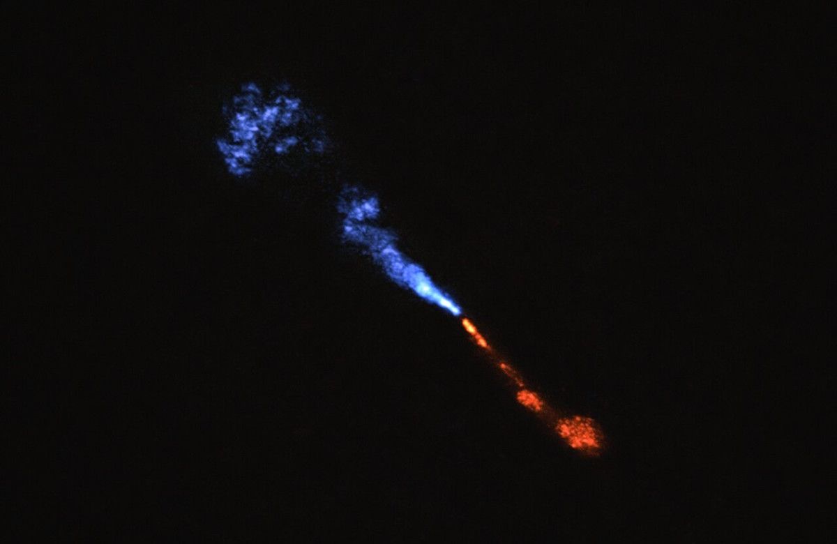 初めて観測！新しい太陽系の夜明けを捉えた天文学者たち