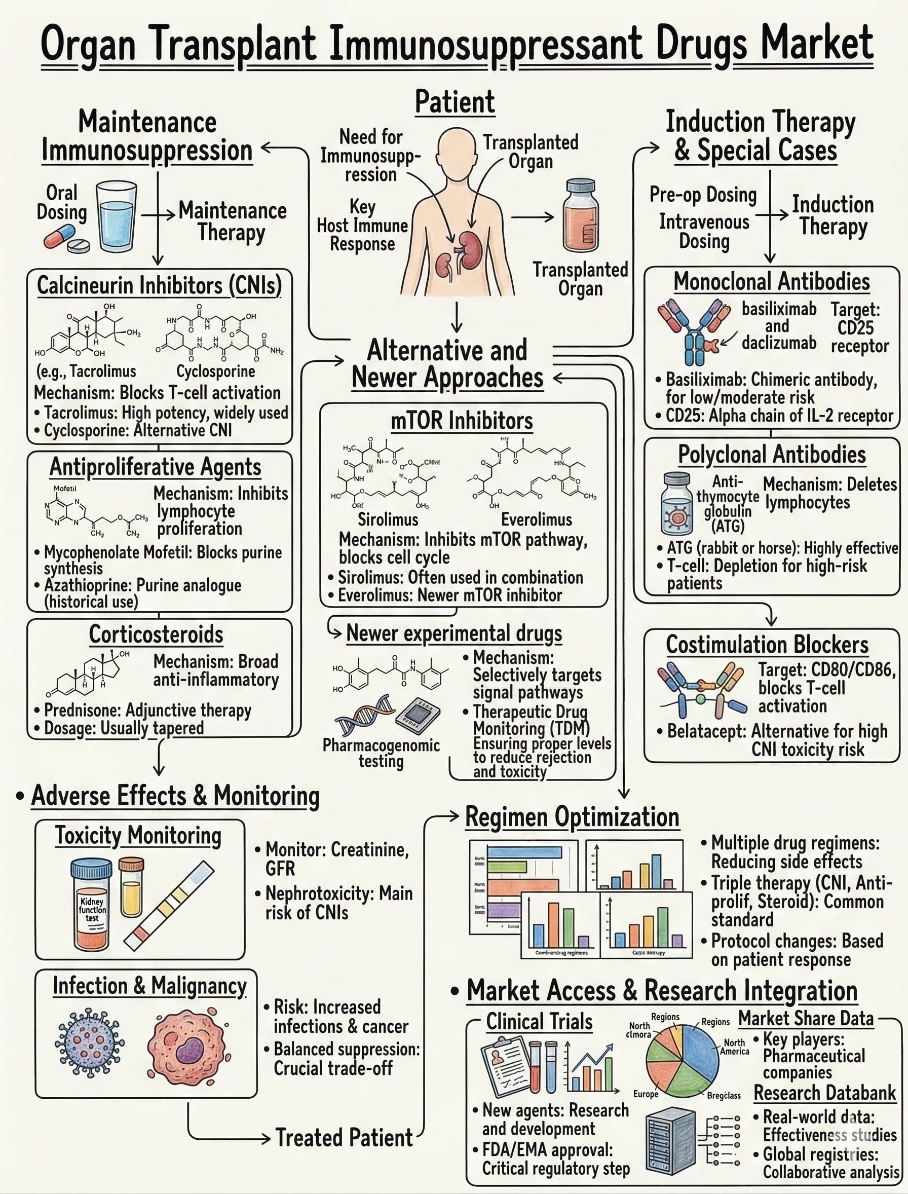 Advanced Therapy Medicinal Products Market: Transitioning from "Chronic Management" to Biological Upgrades