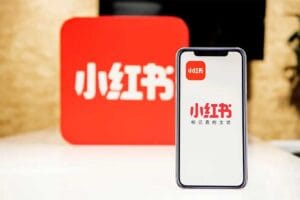 破解小红书运营的流量密码，揽获意向客户，让你的小红书高点赞多粉丝高转化