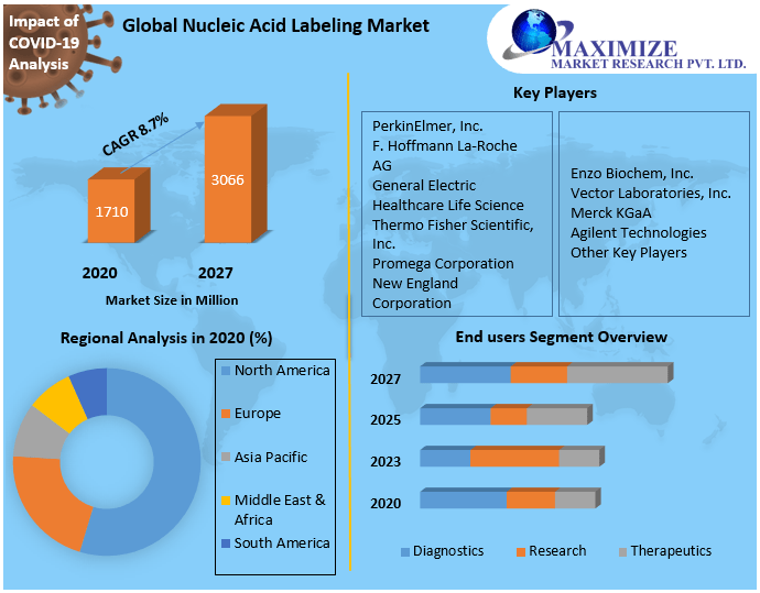 Nucleic Acid Labeling Market Competitive Landscape & Strategy Framework To  Forecast 2021-2027