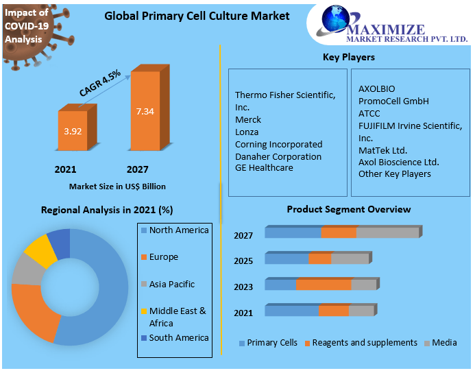 Digital PCR and Realtime PCR Market Research Report And Predictive Business Strategy By  Forecast 2021-2027