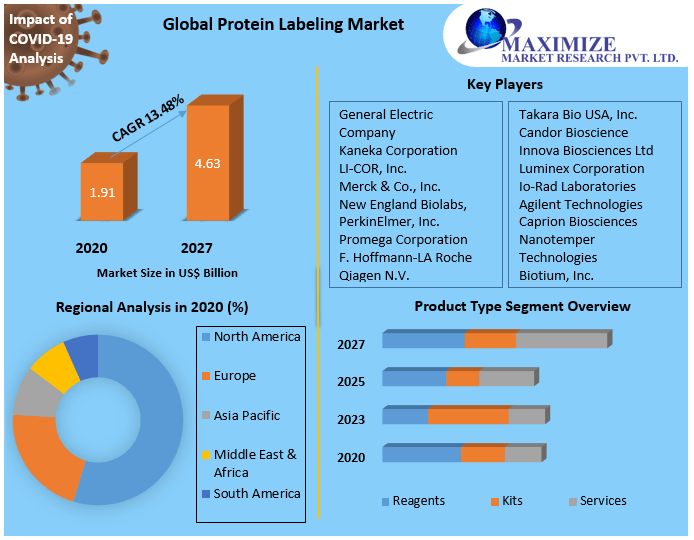 Protein Labeling Market Industry Size, Share, Revenue, Business Growth, Demand,  Applications And Forecast 2027