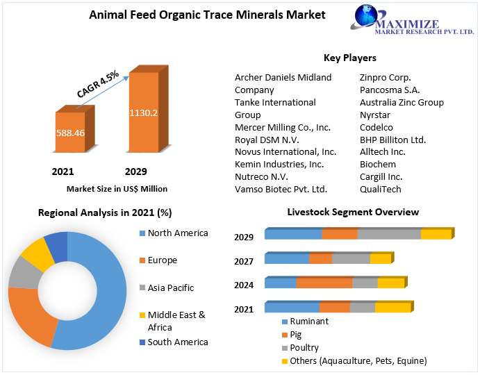 Animal Feed Organic Trace Minerals Market Business Strategies, Revenue and Growth Rate Upto 2029