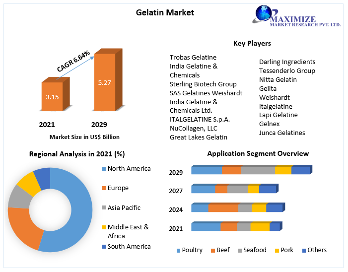 Gelatin Market Top Impacting Factors, Growth Analysis, Industry Predictions  and Forecast 202