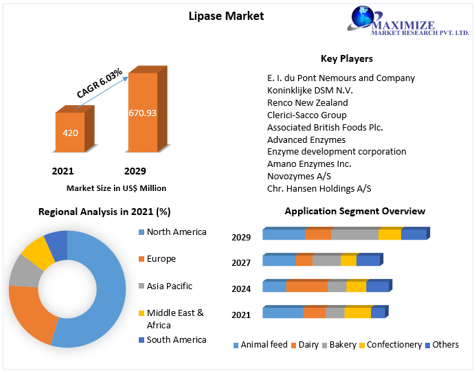 Lipase Market Key Reasons For The Present Growth Trends With Detailed Forecast To 2022-2029
