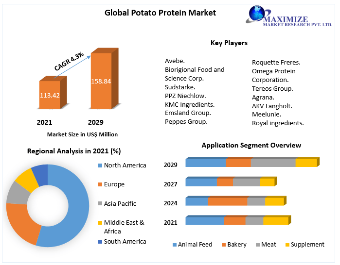 Potato Protein Market Size, Analysis, Top Players, Target Audience and Forecast to 2029