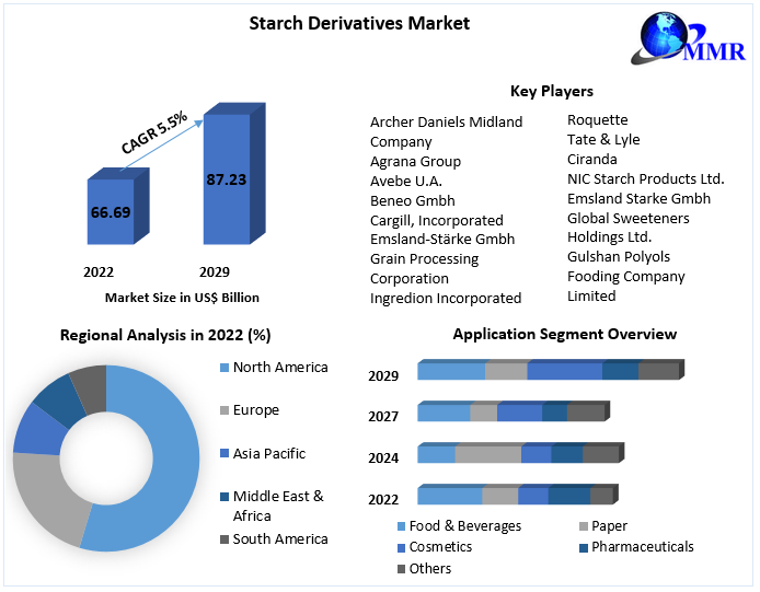 Starch Derivatives Market Business Developing Strategies, Growth Key Factors, and Forecast 2029