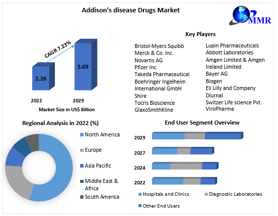 Addison's disease Drugs Market Top Impacting Factors, Growth Analysis, Industry Predictions  and Forecast 2029