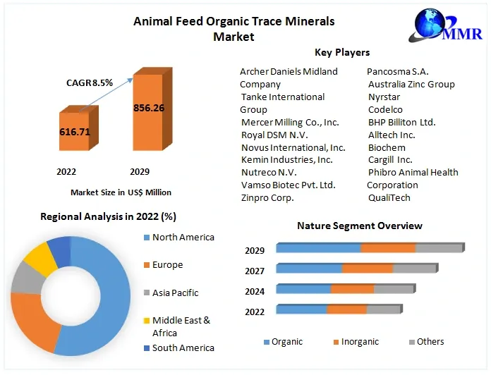 Animal Feed Organic Trace Minerals Market Key Reasons For The Present Growth Trends With Detailed Forecast To 2022-2029