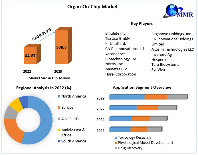 Organ-On-Chip Market Business Growth, Global Survey, Analysis, Share, Company Profiles and Forecast by 2029