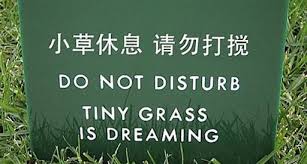 How translation can affect or change meaning