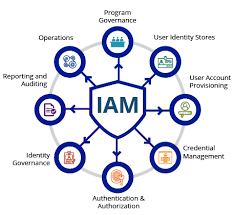 Biometric Authentication Innovations Driving the Future of Identity and Access Management Market
