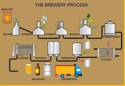 Beer Processing Market Trends Driving the Future of Global Brewing