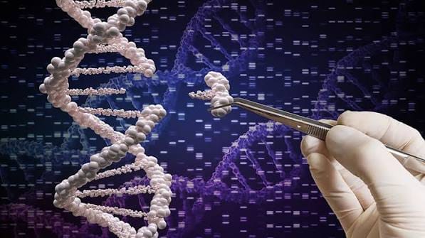 Genome Editing Market Set to Transform the Future of Precision Medicine