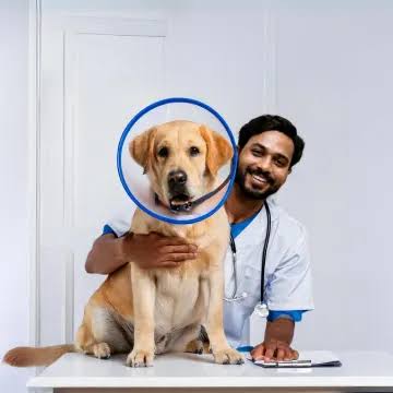 Pet Care Market: Emerging Trends, Innovations, and Growth Opportunities
