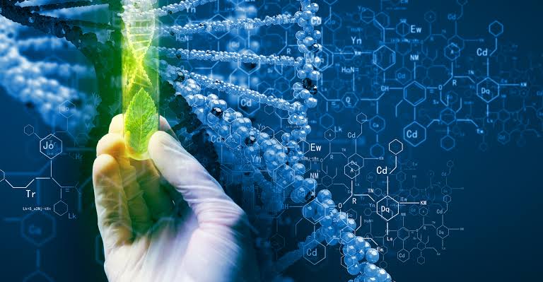 Agricultural Biotechnology Market: Transforming the Future of Sustainable Farming