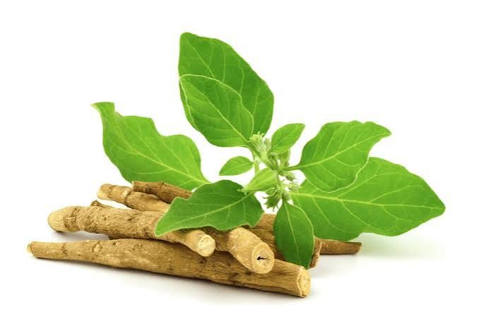 Ashwagandha Extract Market: Emerging Trends and Growth Opportunities