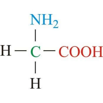 Glycine Market: Emerging Trends Shaping the Global Industry