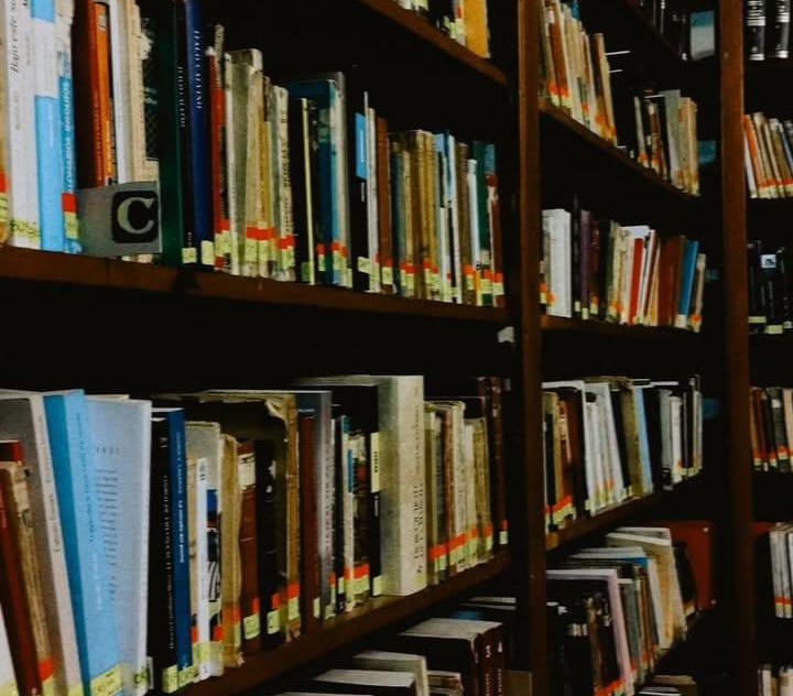 Libros monógamos y lectoras infieles