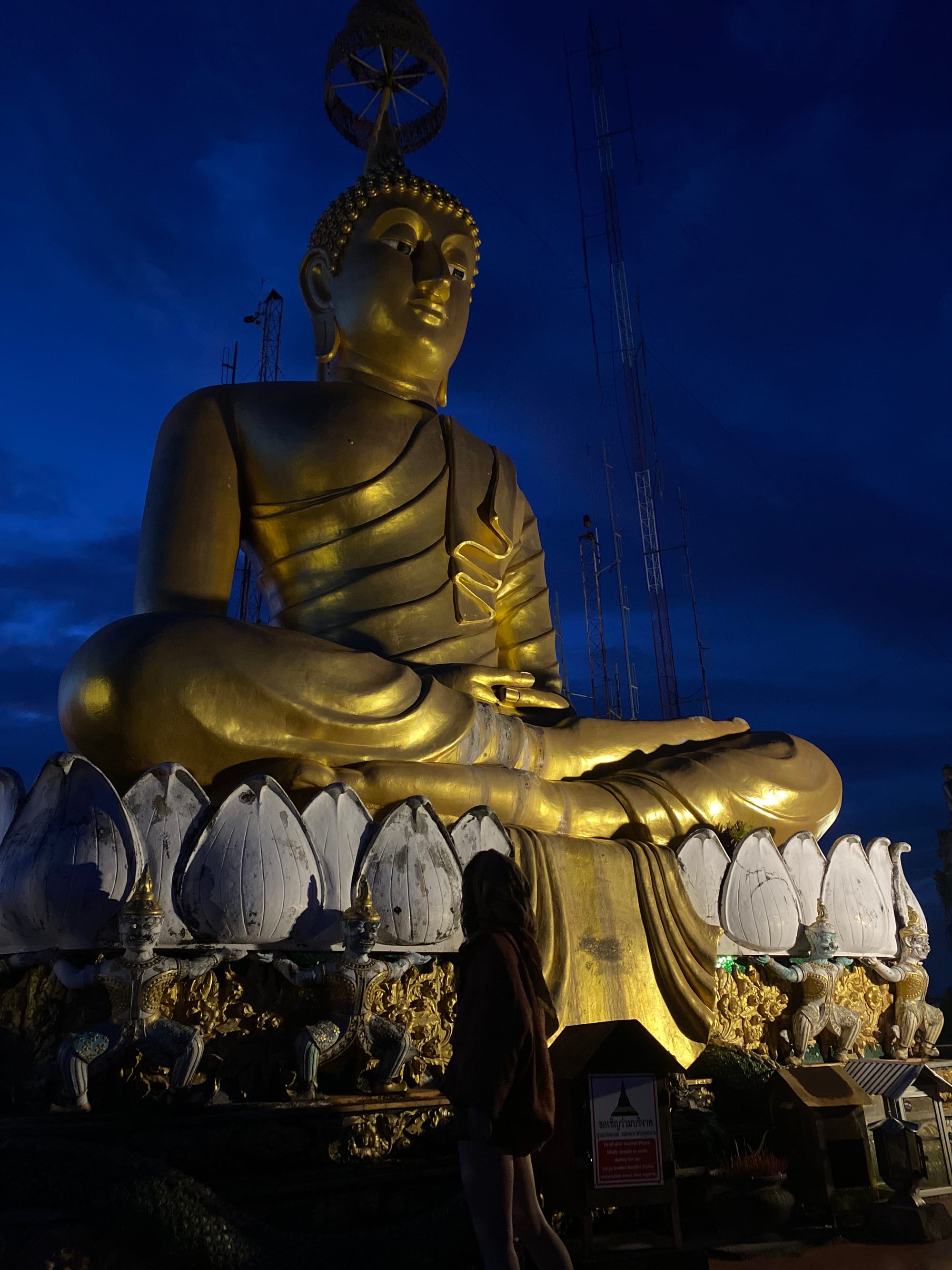 A Deep Dream: In the Embrace of the Curse