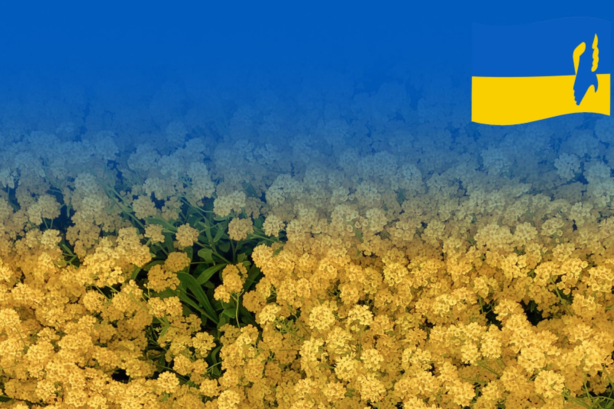 Lithuania approves €13 million for reconstruction projects in Ukraine