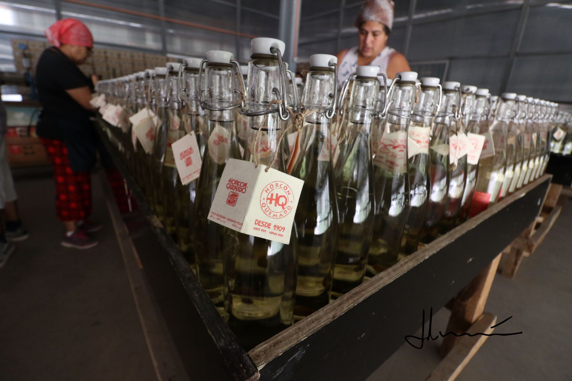 Sector de etiquetado planta Horcón Quemado