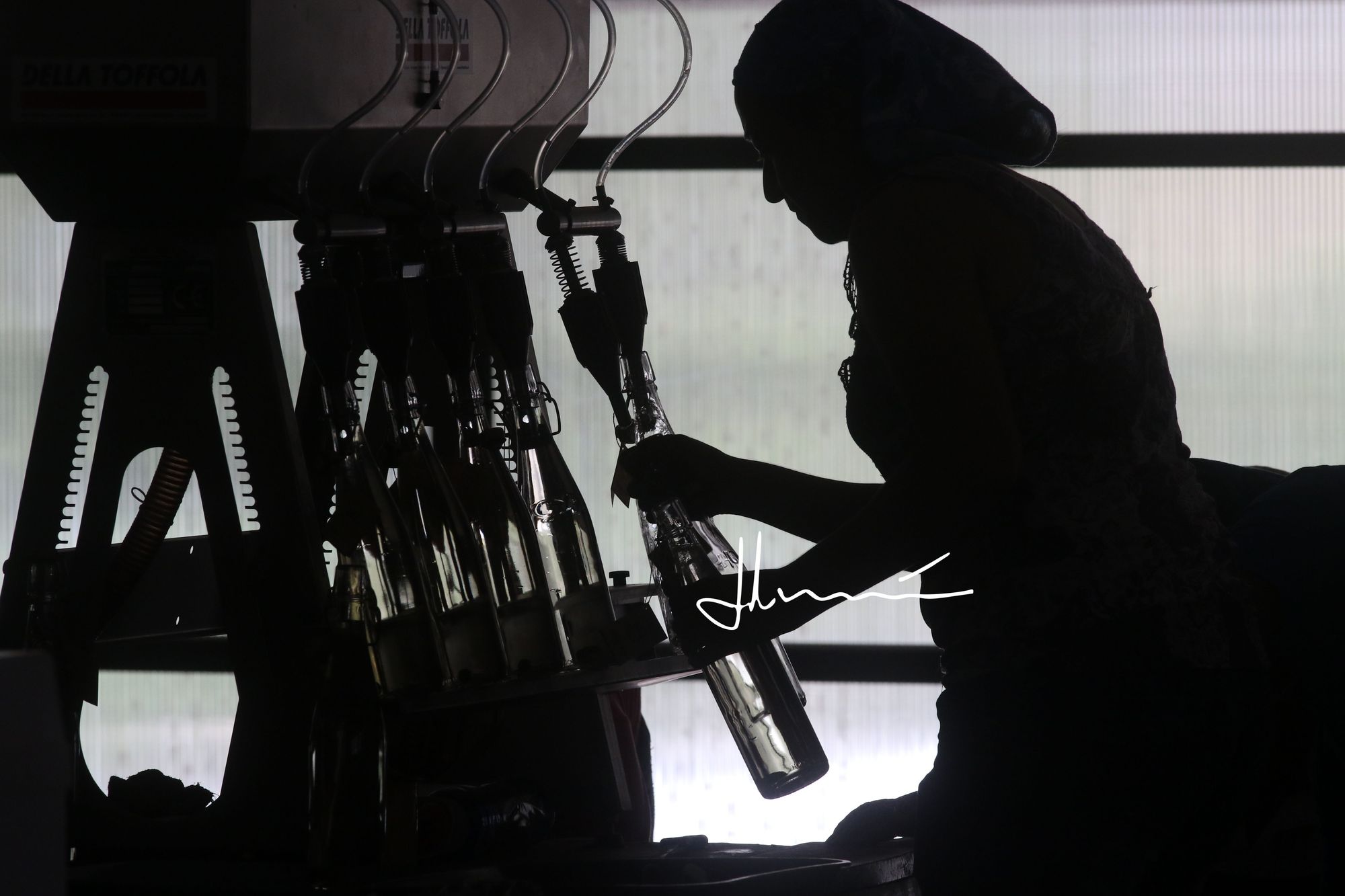 Producción Pisco Artesanal Horcón Quemado