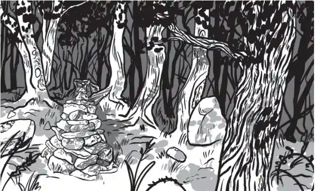 En blanco y negro, árboles y un túmulo de piedras, al fondo se ven las sombras de más árboles