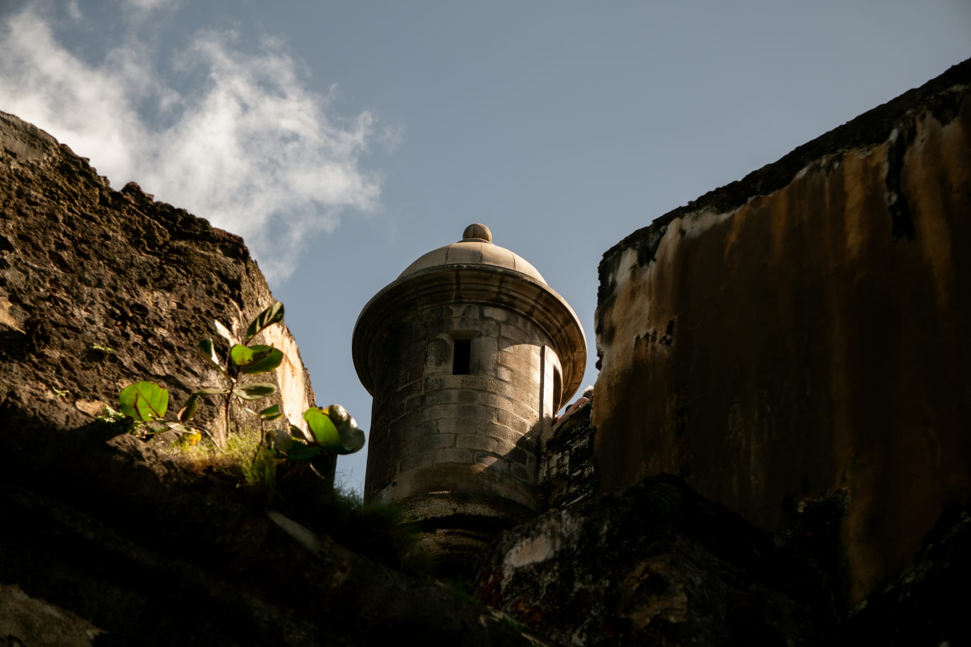 Lightning Networkを保護するWatchtower：普及が進まない理由と今後の期待