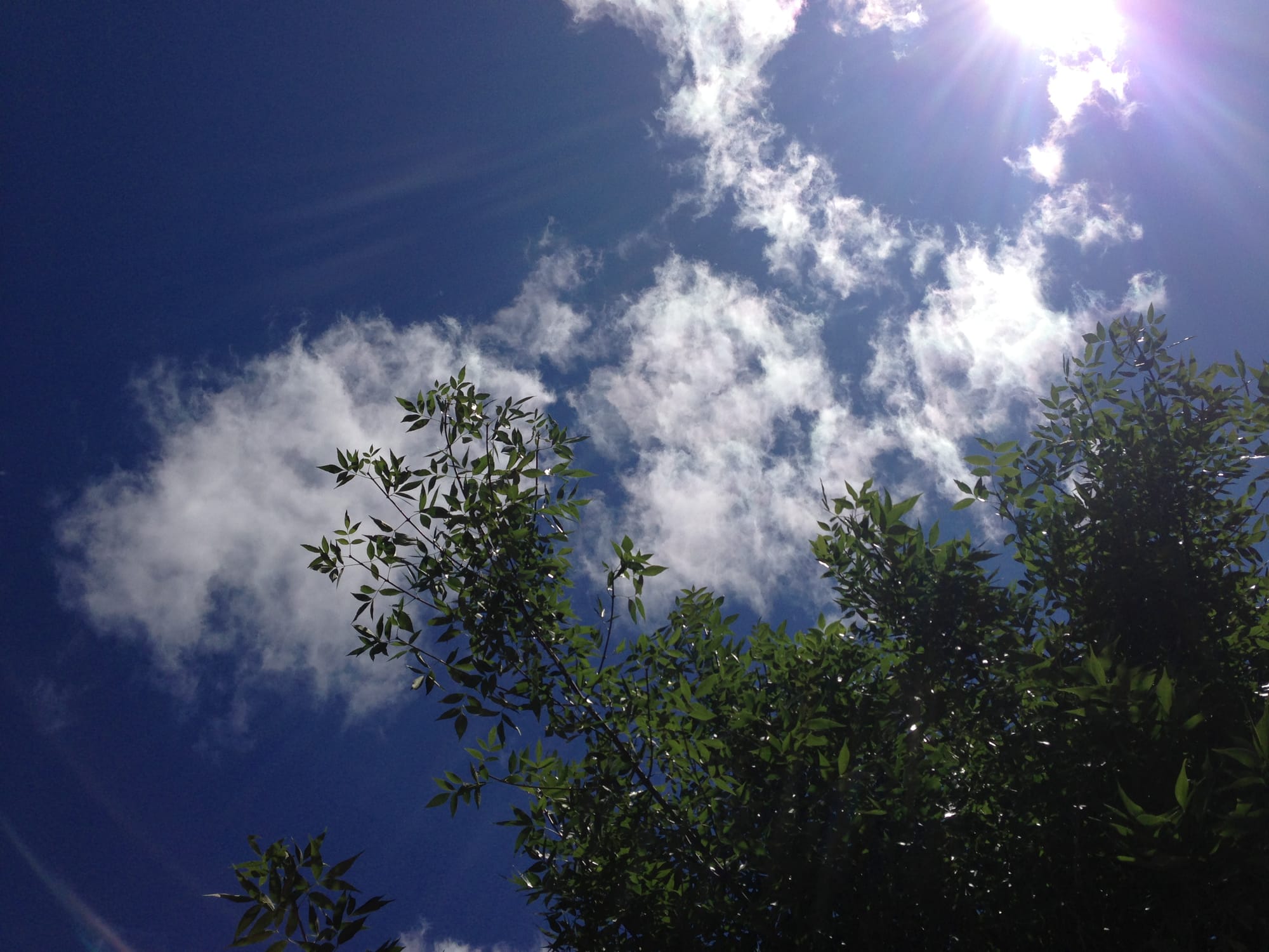 'አስተውሎት'  Mindfulness