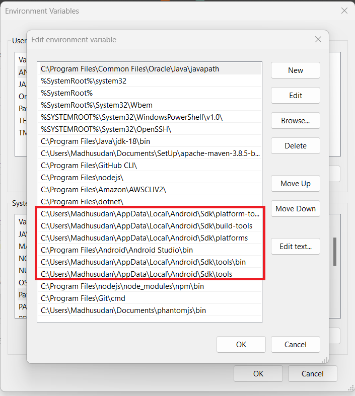 environment variables
