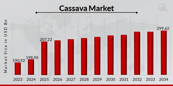 Product Segmentation: From Roots to High-Value Derivatives in cassava industry growth